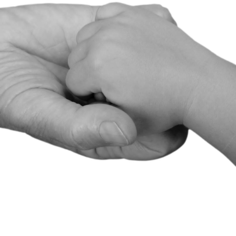 The Shattered Window - Episode 5